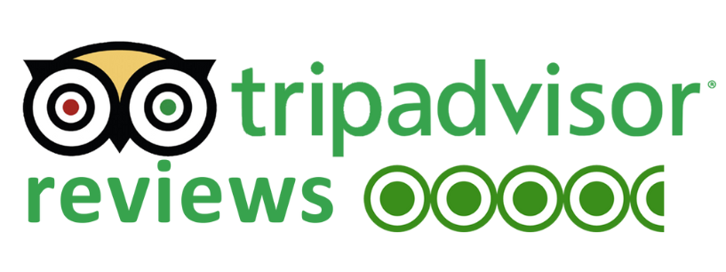 tripadvisor-reviews